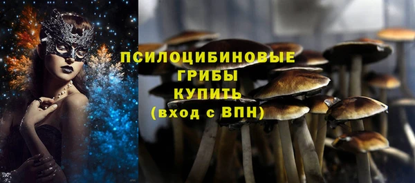 герыч Абаза