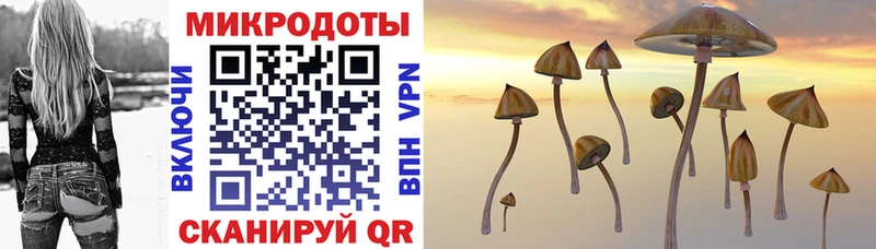 shop телеграм  Егорьевск  Галлюциногенные грибы Magic Shrooms 