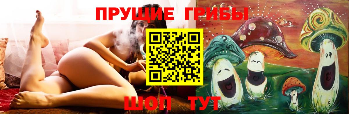 Галлюциногенные грибы ЛСД  Вход с VPN  Егорьевск  Галлюциногенные грибы Psilocybine cubensis 